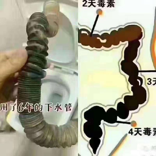考察了这么多家公司，为什么选择“东升藤黄果”