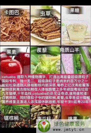 世盟国际卡图巴,马来西亚卡图巴多少钱一盒